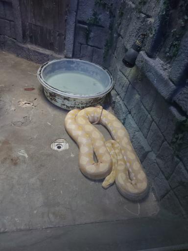 عکس باغ خزندگان