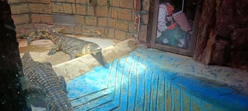 عکس باغ خزندگان