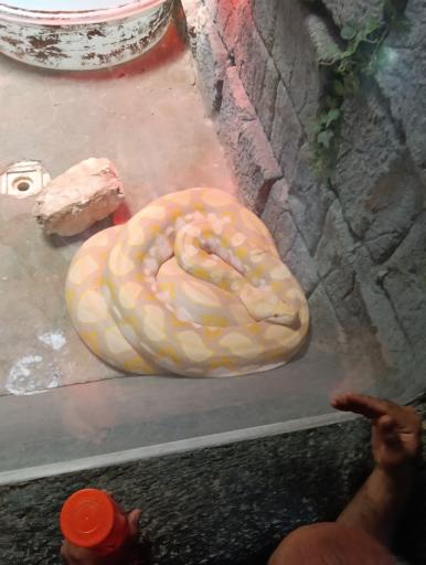 عکس باغ خزندگان