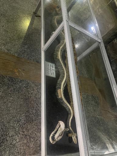 عکس باغ خزندگان