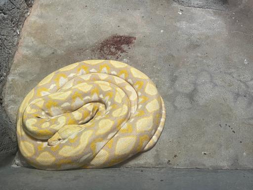 عکس باغ خزندگان