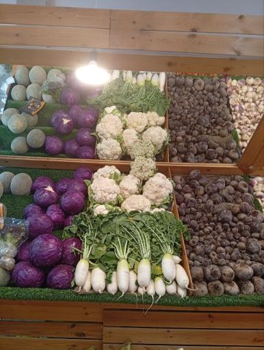 عکس هایپر میوه بلوط