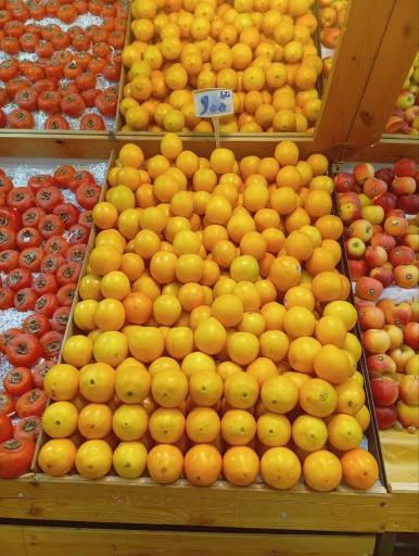 عکس هایپر میوه بلوط