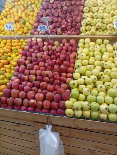 عکس هایپر میوه بلوط