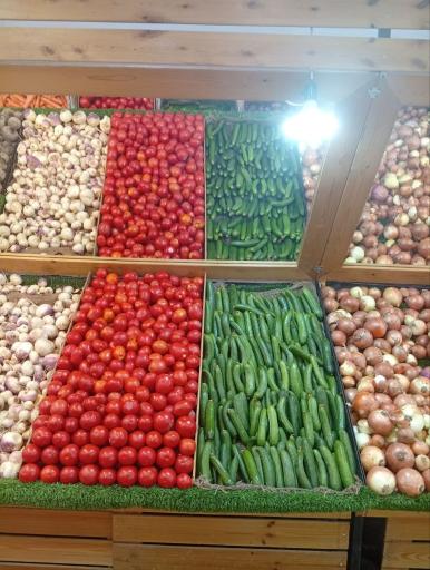 عکس هایپر میوه بلوط