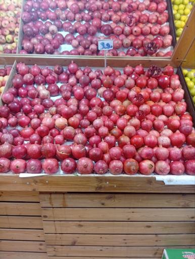 عکس هایپر میوه بلوط