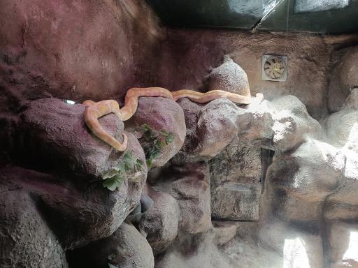 عکس باغ خزندگان