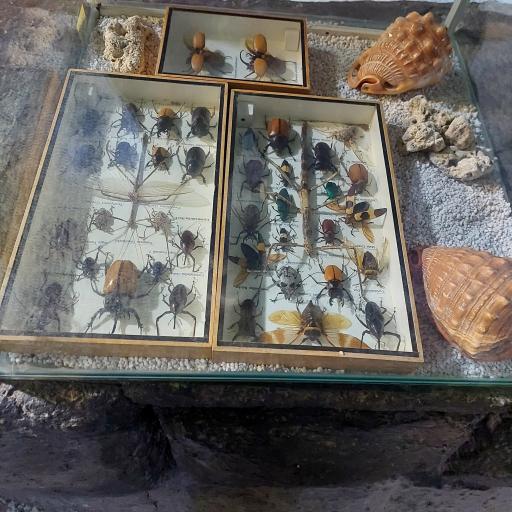 عکس باغ خزندگان