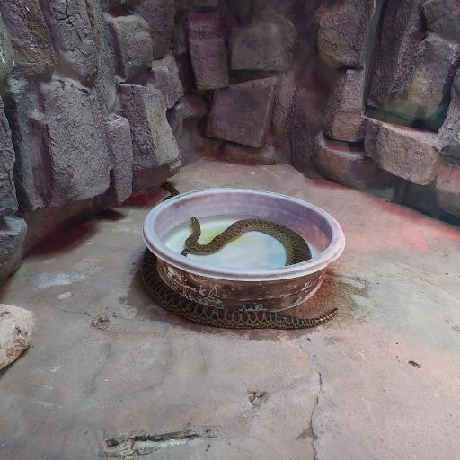 عکس باغ خزندگان