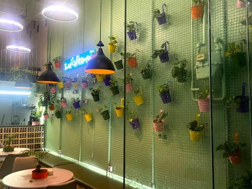 عکس کافی شاپ گرین