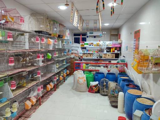 عکس پرنده سرای هدایت