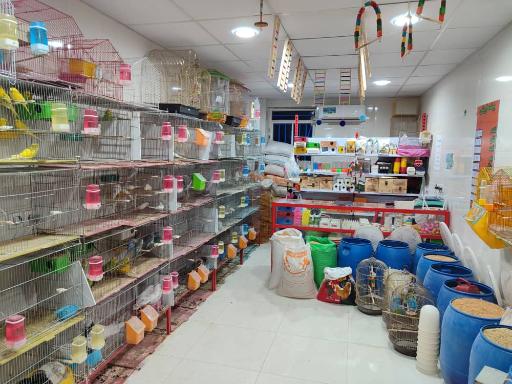 عکس پرنده سرای هدایت