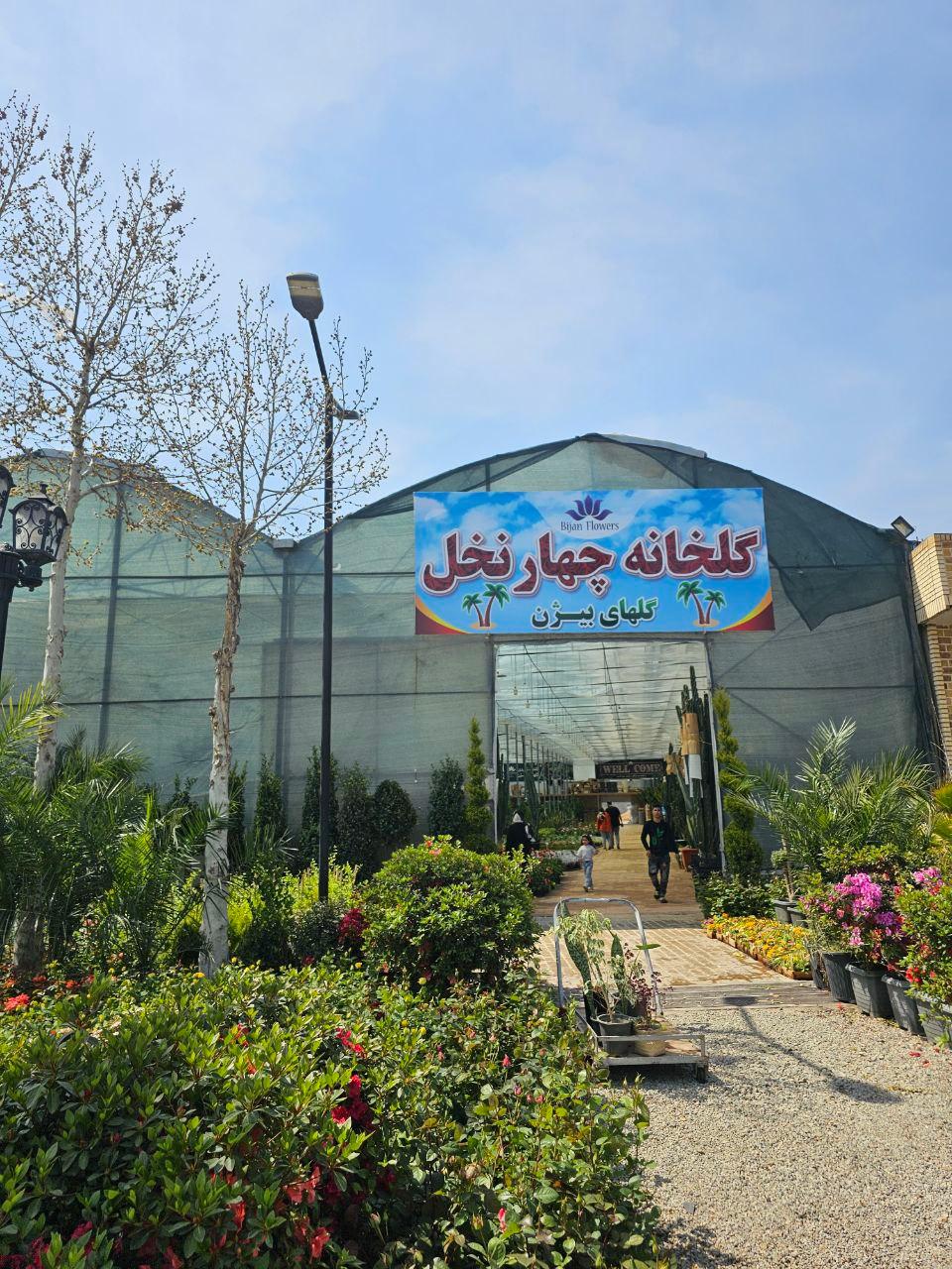 عکس نمایشگاه گل چهار نخل