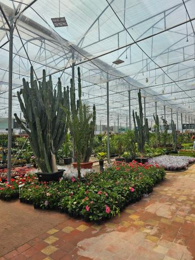 عکس نمایشگاه گل چهار نخل