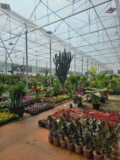 عکس نمایشگاه گل چهار نخل