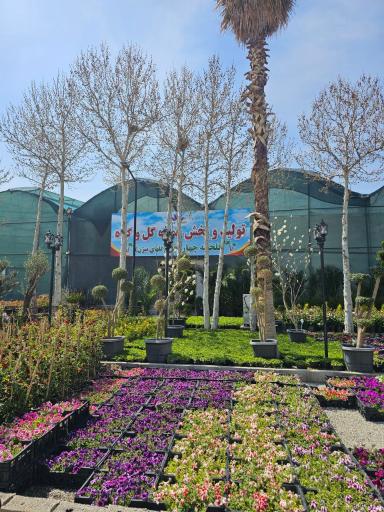 عکس نمایشگاه گل چهار نخل