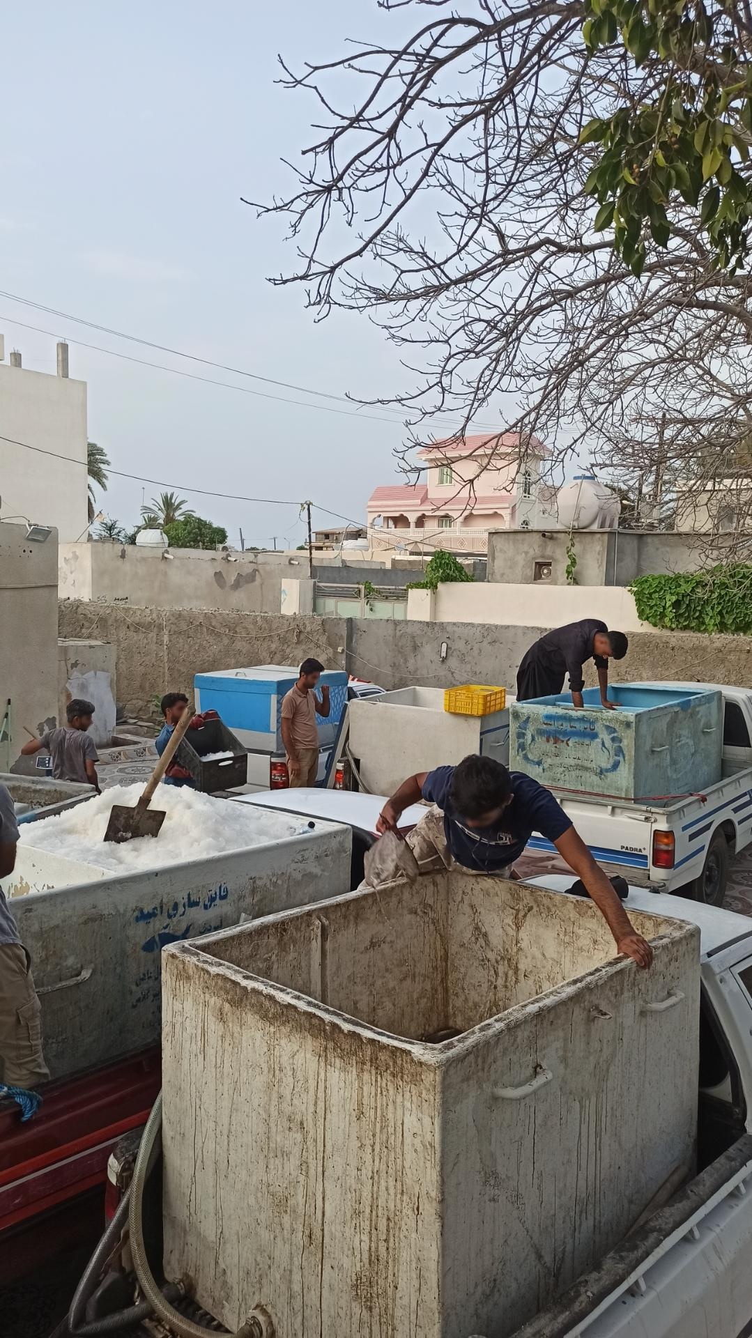 عکس ماهی فروشی نگین ساحل