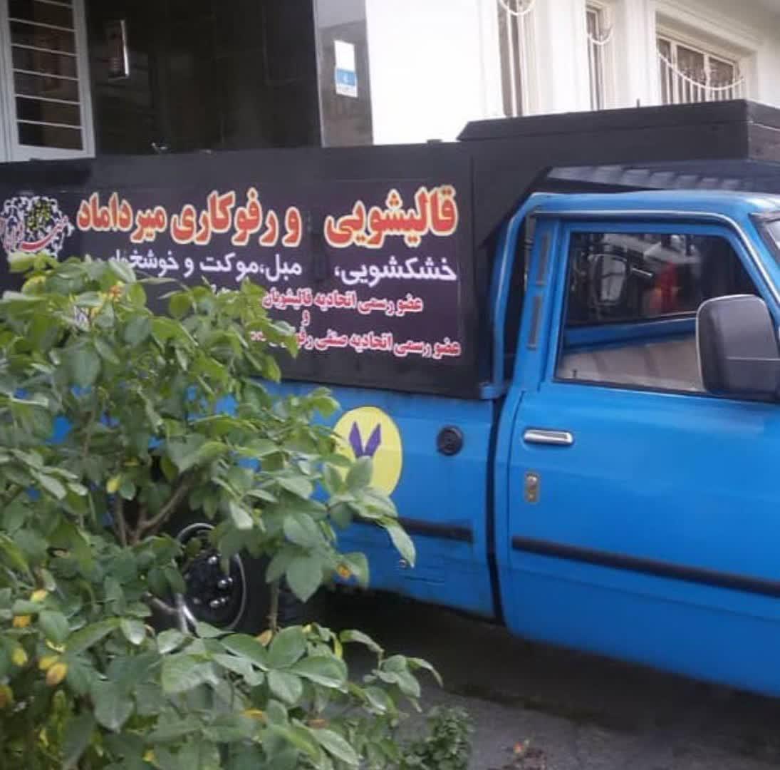 عکس قالیشویی میرداماد