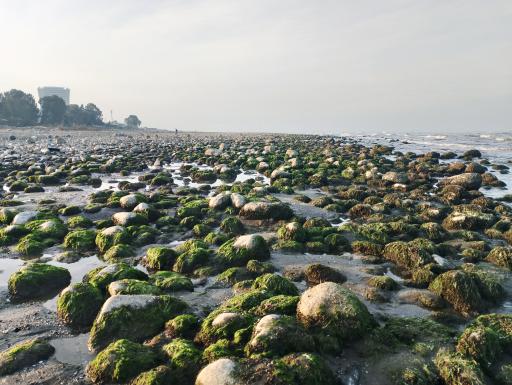 عکس ساحل سنگی