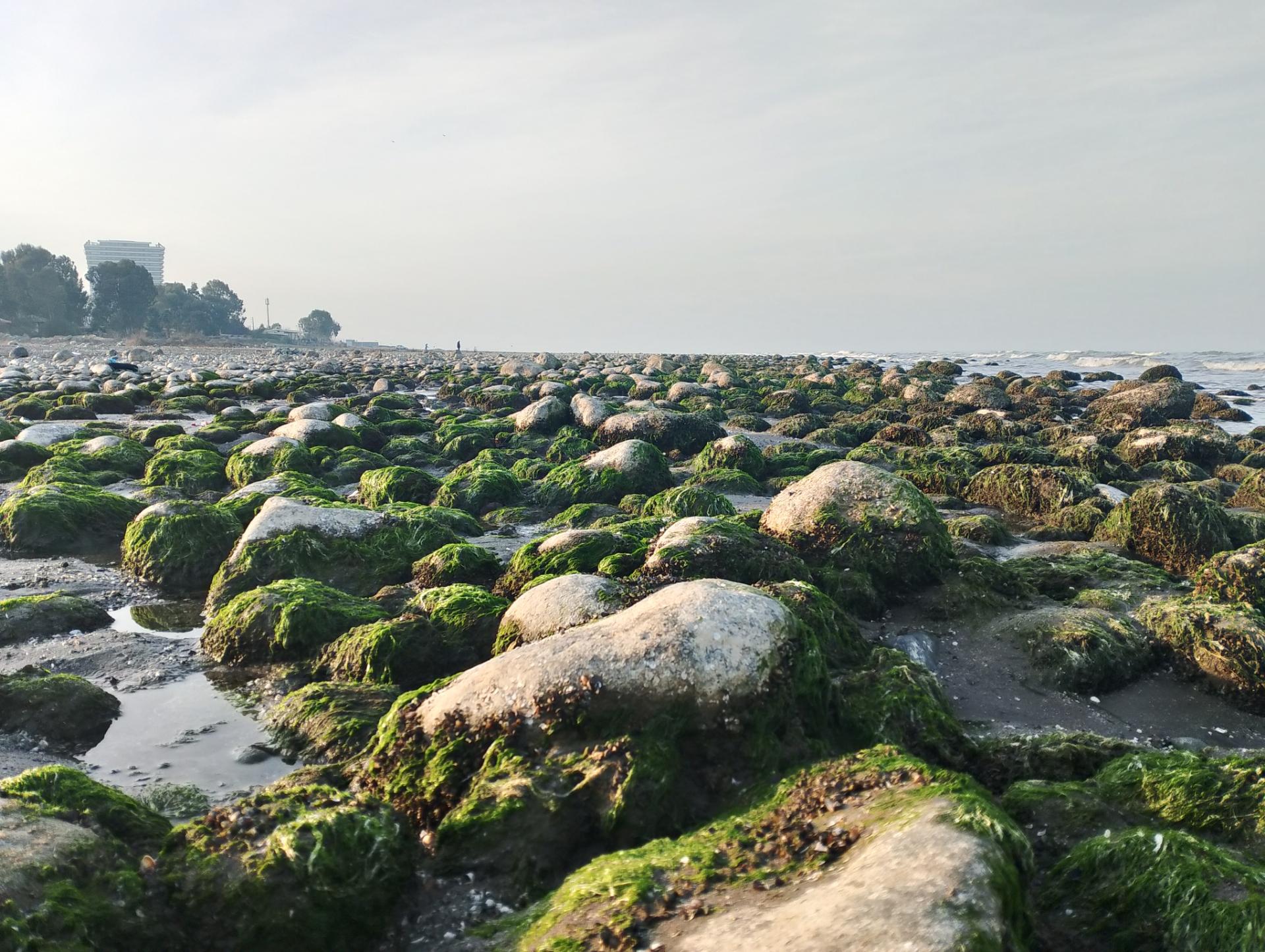 عکس ساحل سنگی