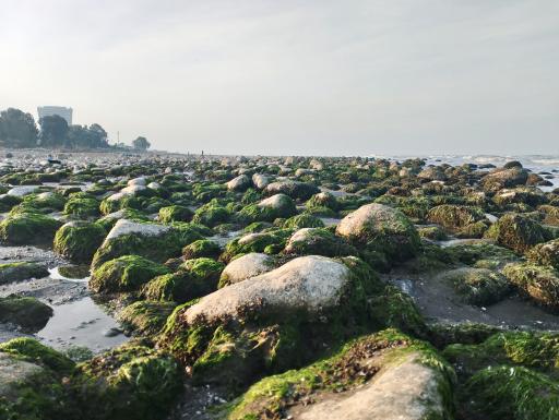 عکس ساحل سنگی