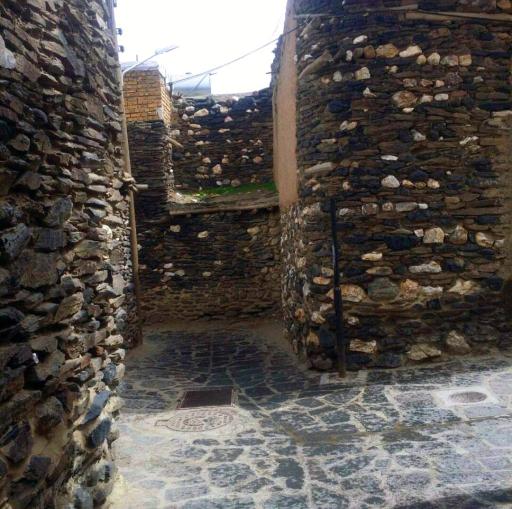 عکس ورکانه