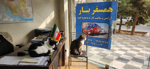 عکس باربری همسفربار