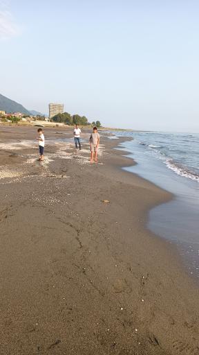 ساحل سنگی