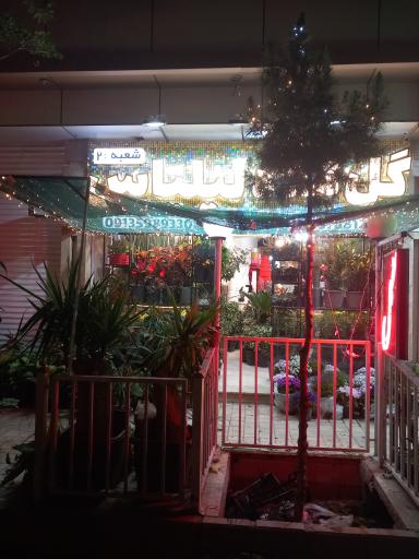 عکس گل کده لیلیاس