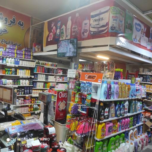 عکس شوینده بهداشتی آیلار