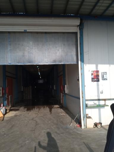 عکس سردخانه کوهنورد