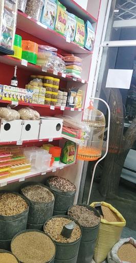 عکس پرنده سرای طبیعت