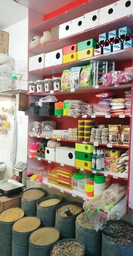 عکس پرنده سرای طبیعت