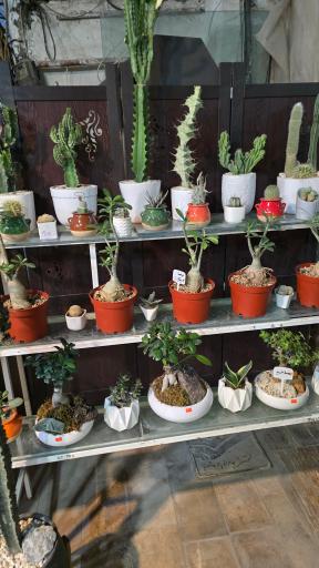 عکس گلخانه الف 