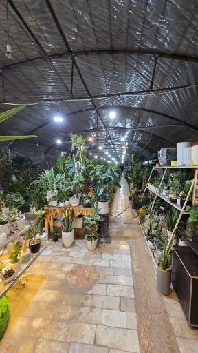 عکس گلخانه الف 