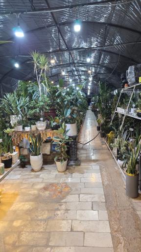 عکس گلخانه الف 