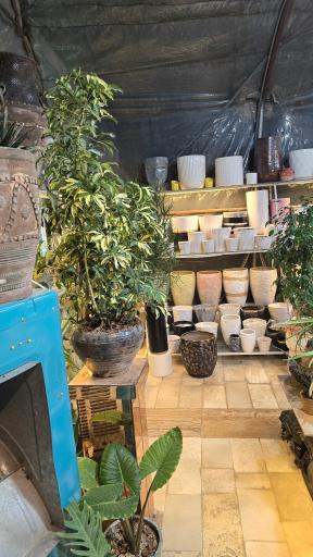 عکس گلخانه الف 