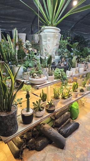 عکس گلخانه الف 