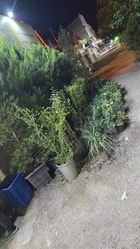 عکس گلخانه الف 