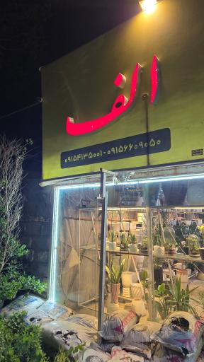 عکس گلخانه الف 