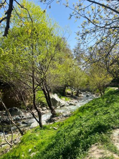 عکس منطقه تفریحی فرحزاد