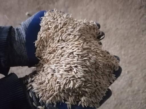 عکس  دفترخرید وفروش گندم وجو و فروشگاه نهاده های دامی وکشاورزی سیدمصطفی