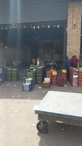 عکس بارفروشی محسن تمیمی