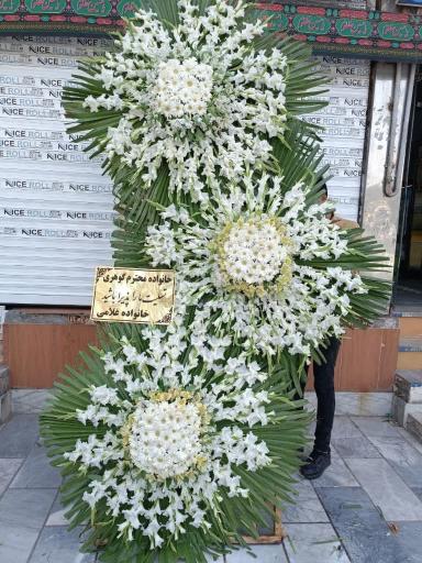 عکس گل پونه