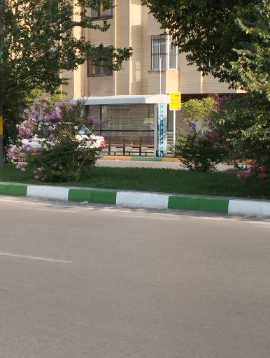 عکس  آموزگار 44