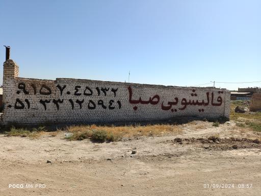 عکس قالیشویی صبا