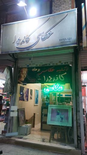 عکس عکاسی کاندیدا