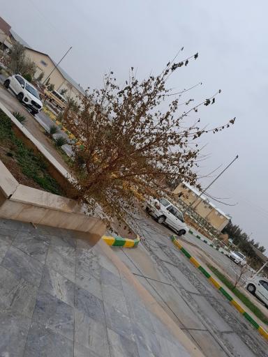 عکس پردیس جدید دانشگاه ملی زابل 