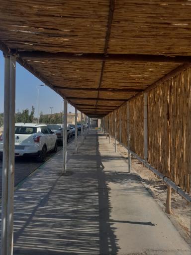 عکس پردیس جدید دانشگاه ملی زابل 