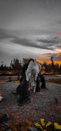 عکس پردیس جدید دانشگاه ملی زابل 